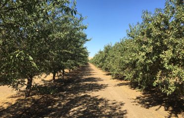 blog-grid-1-410x308